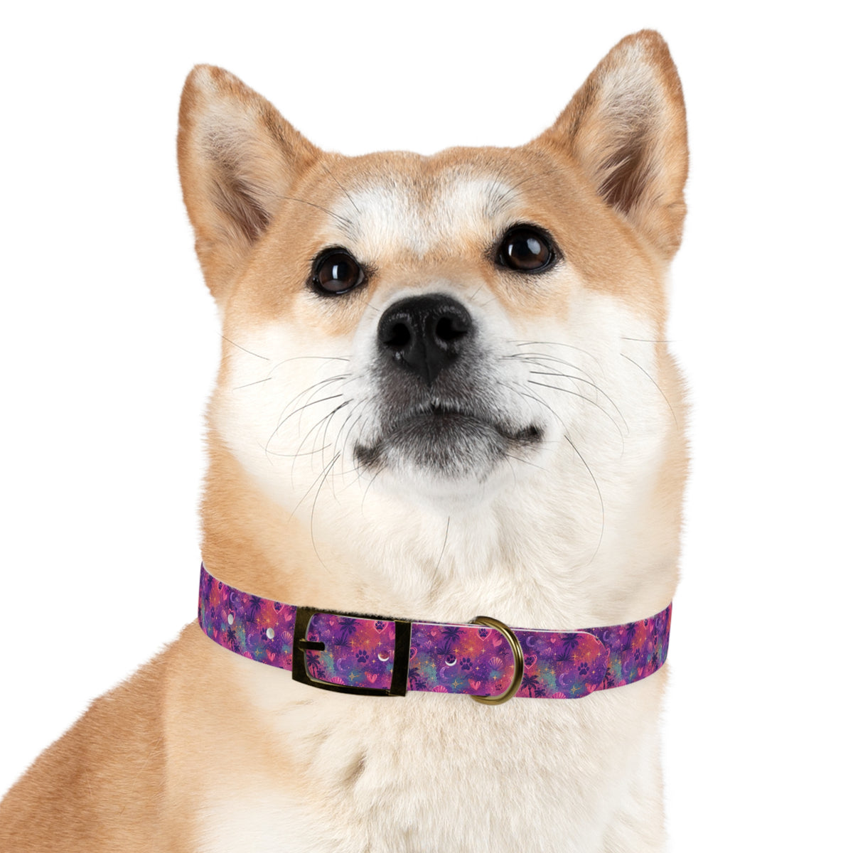 Dog Collar Amore Magical Mix | Coastal Sunset