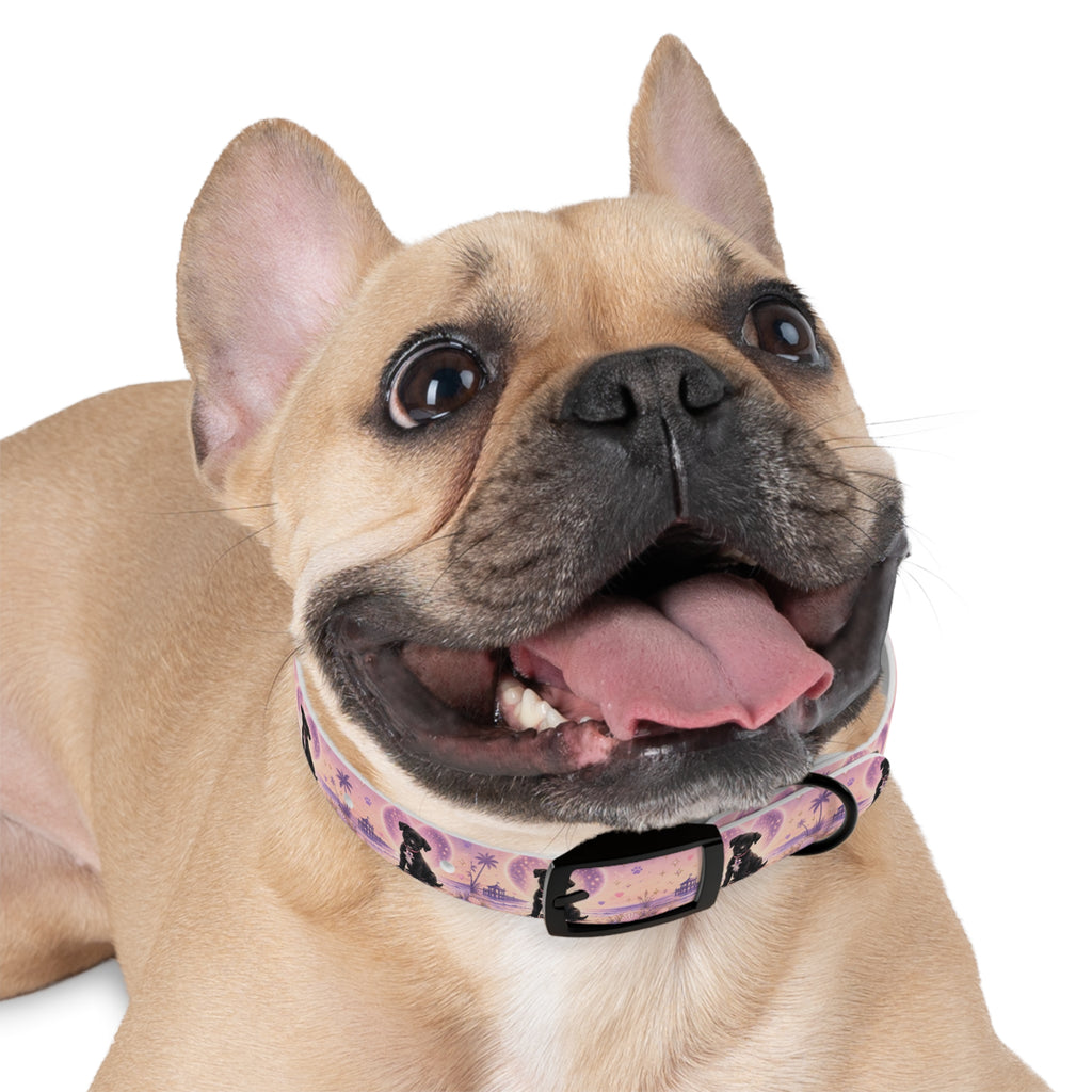 Dog Collar Amore the Magical Mix Signature