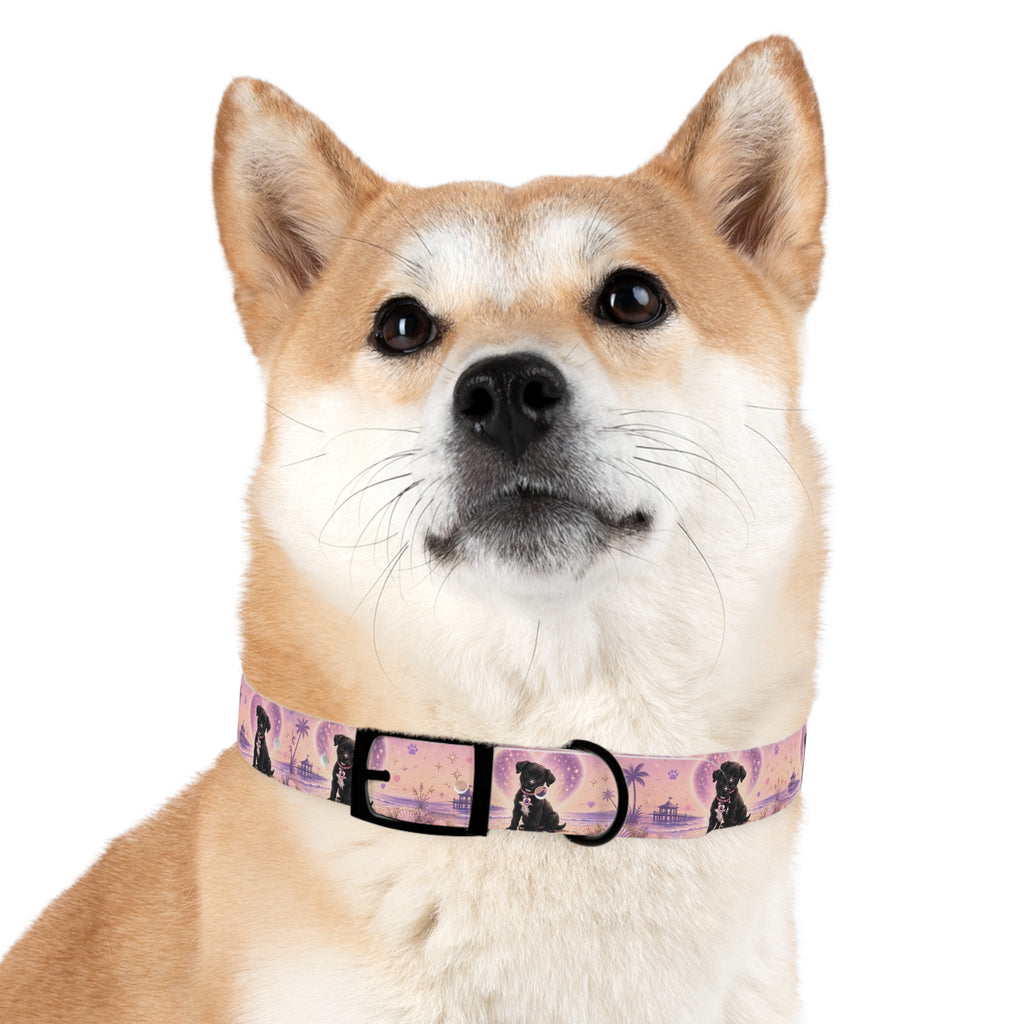 Dog Collar Amore the Magical Mix Signature