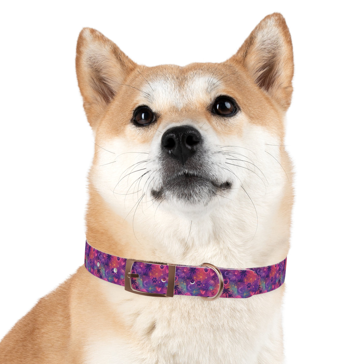 Dog Collar Amore Magical Mix | Coastal Sunset