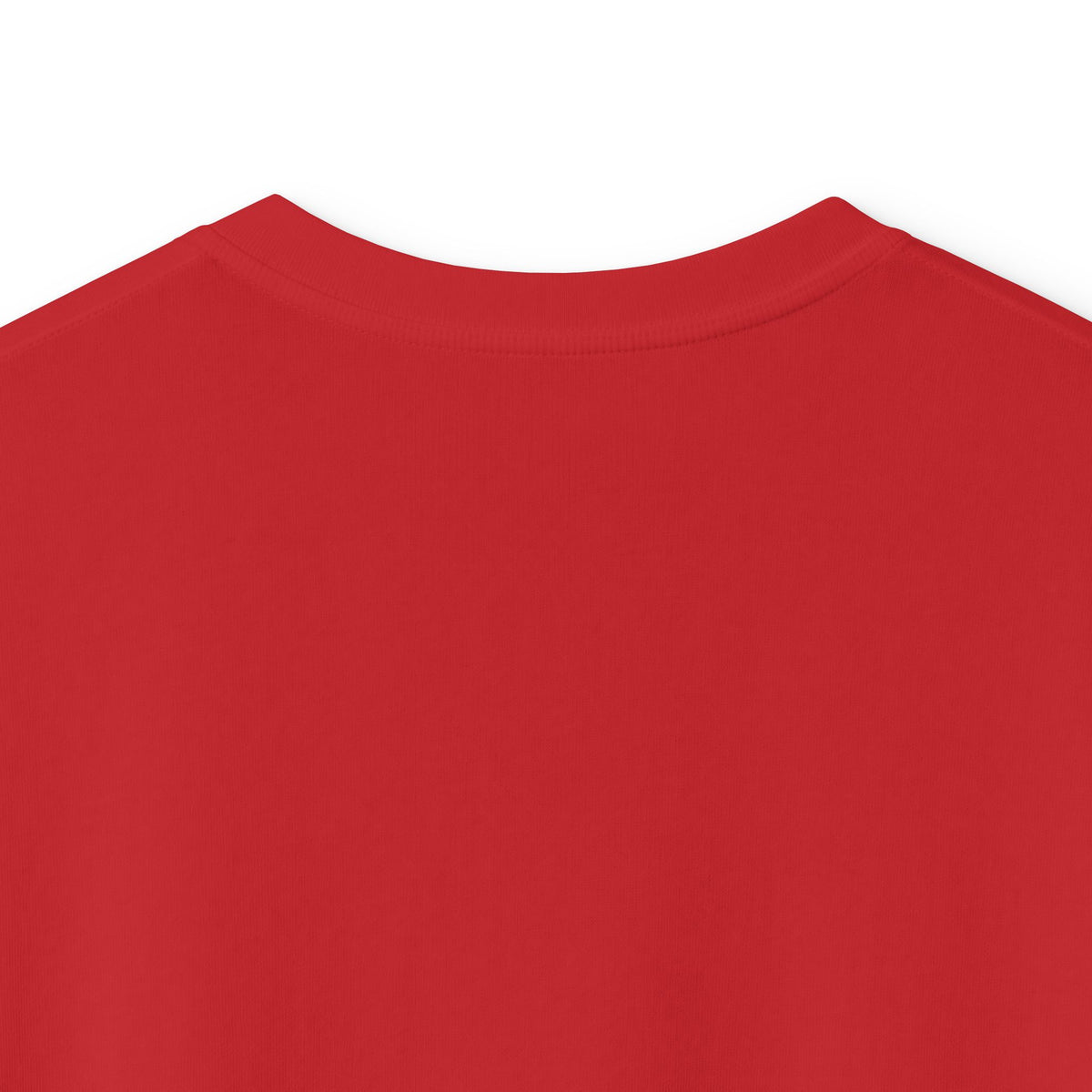 Kids Tee — "Santa's Favorite (ish)" Christmas Shirt