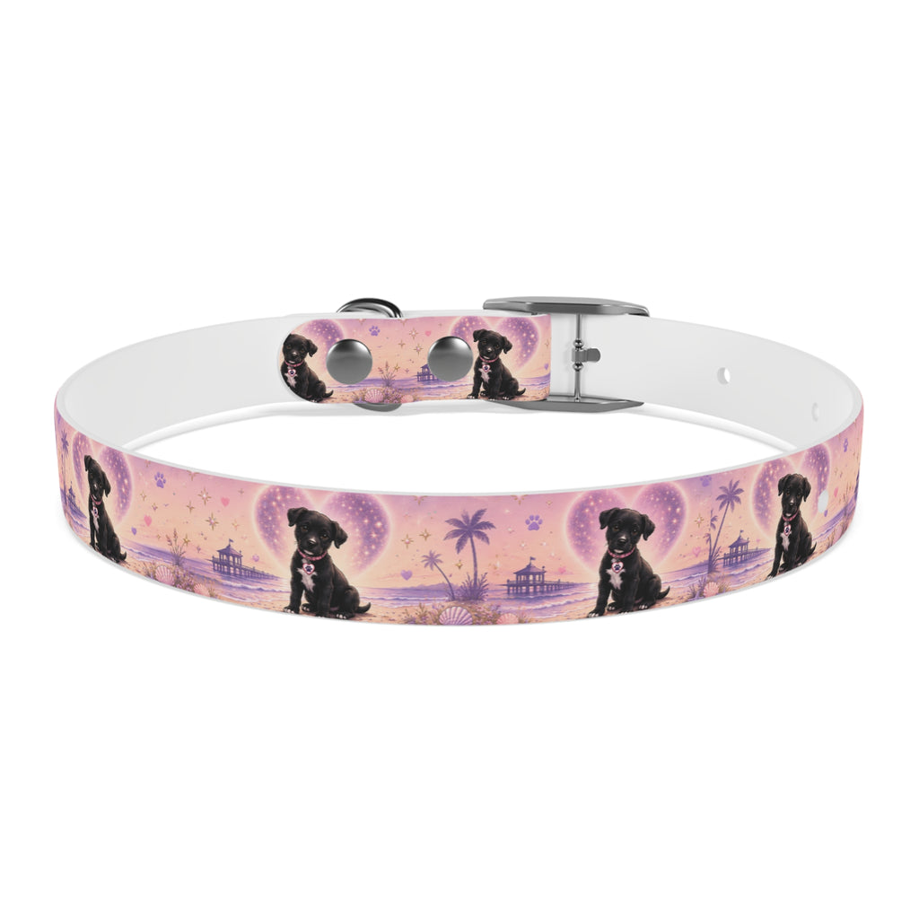 Dog Collar Amore the Magical Mix Signature