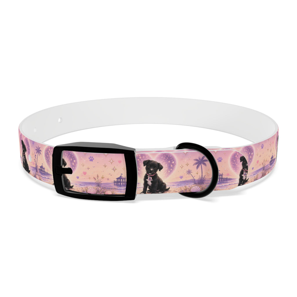 Dog Collar Amore the Magical Mix Signature