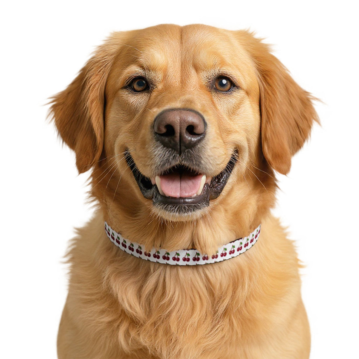 Clip-on Pet Collar Cherry Pattern