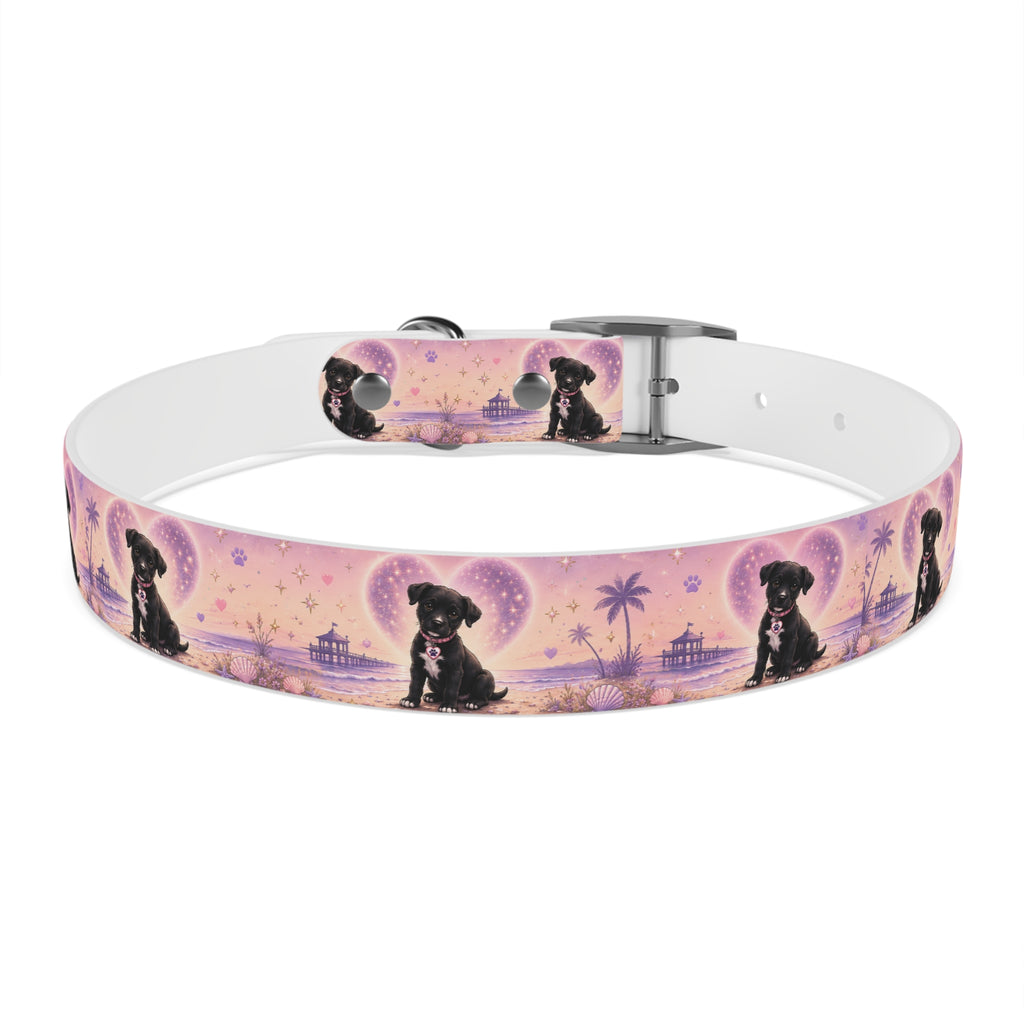 Dog Collar Amore the Magical Mix Signature