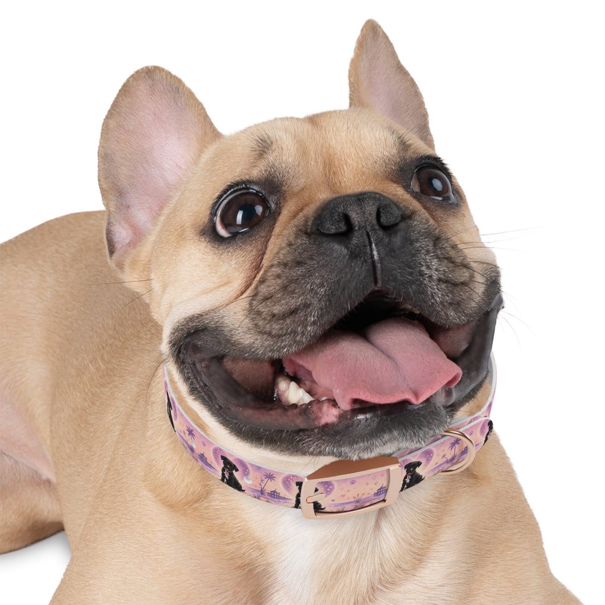 Dog Collar Amore the Magical Mix Signature