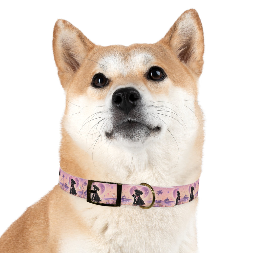 Dog Collar Amore the Magical Mix Signature