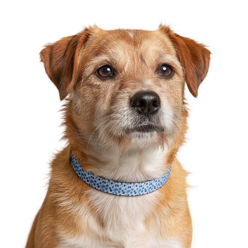 Blue Pawprint Clip-On Pet Collar — Adjustable Dog Collar with Cute Paw Pattern