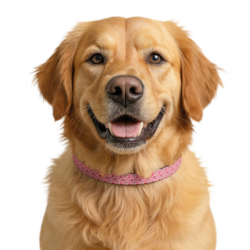 Pink Bows & Candy Canes Holiday Clip-On Pet Collar — Adjustable Quick-Release