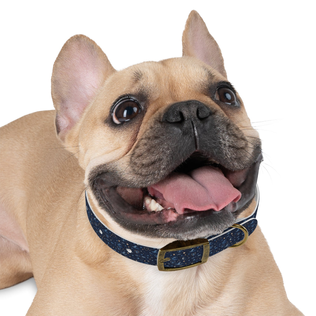 Dog Collar Amore the Magical Mix Ocean Beach inspired