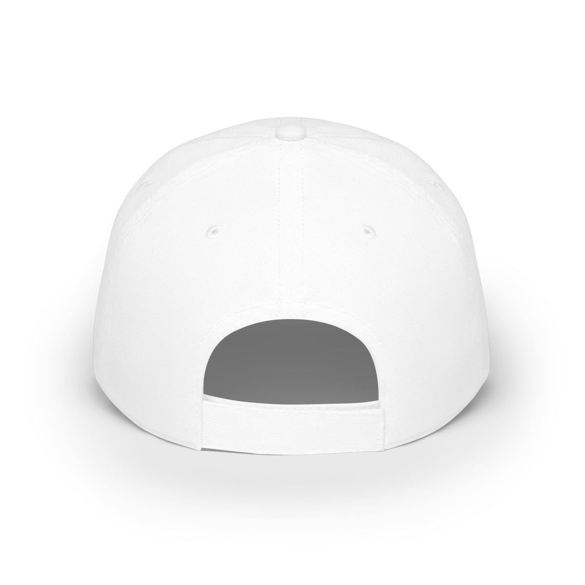 "Can I Pet Your Dog?" Low Profile Baseball Cap – Cute Pet Lover Hat