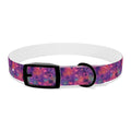 Dog Collar Amore Magical Mix | Coastal Sunset