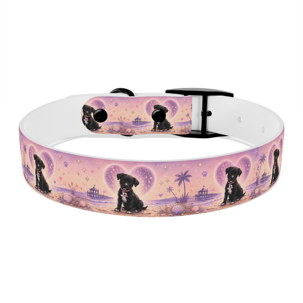 Dog Collar Amore the Magical Mix Signature