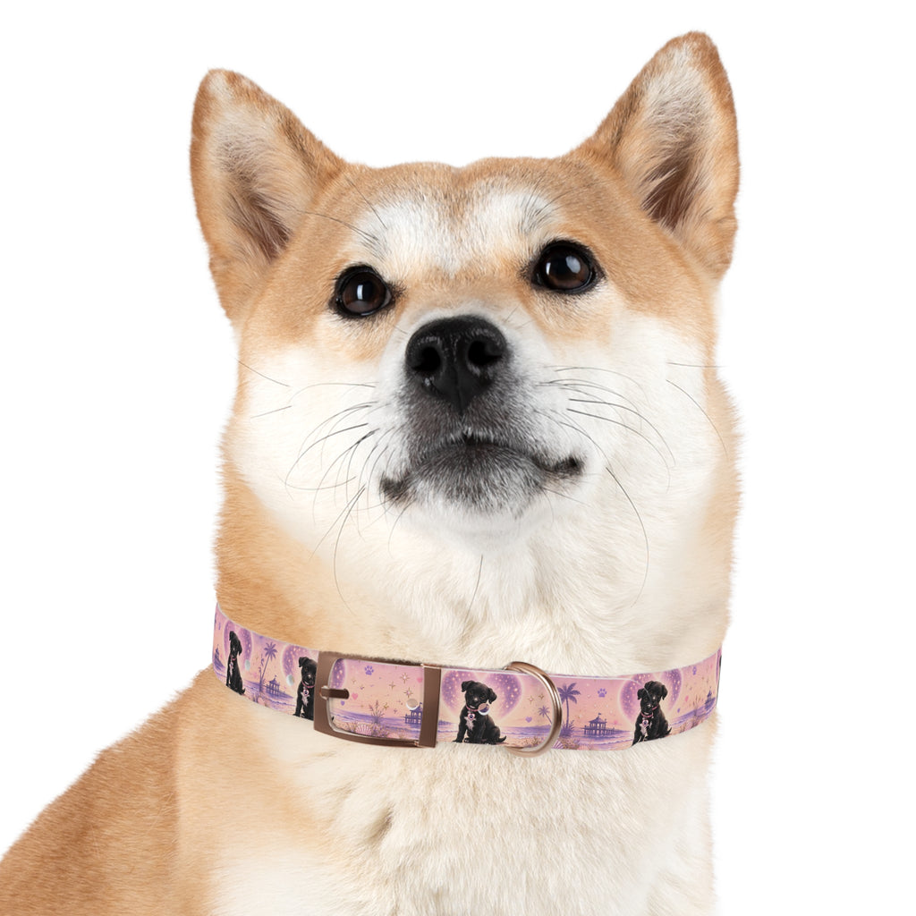 Dog Collar Amore the Magical Mix Signature