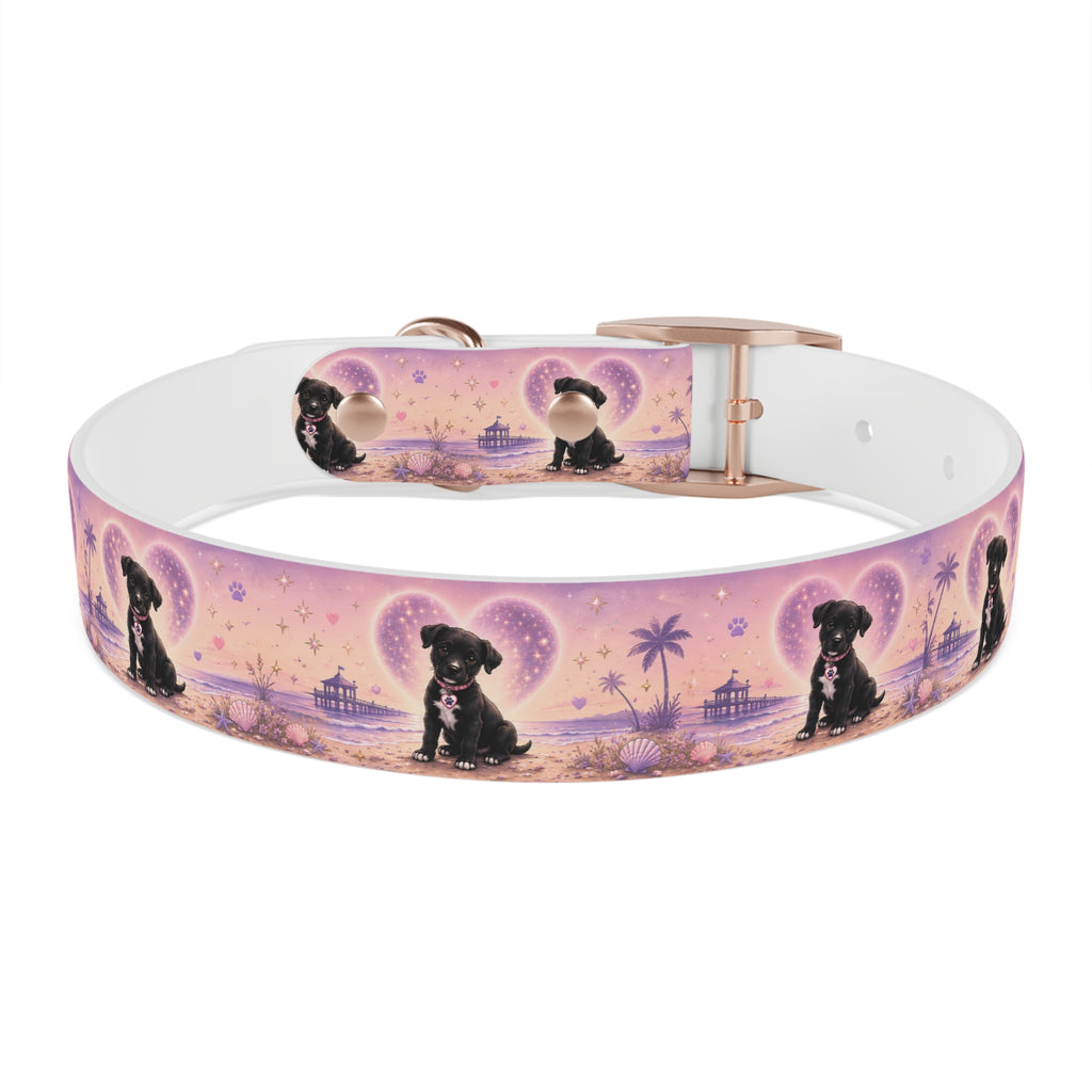 Dog Collar Amore the Magical Mix Signature