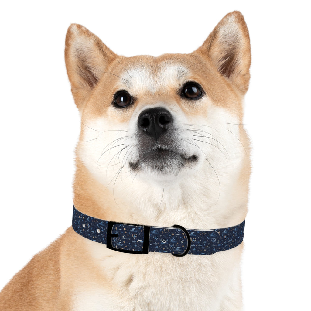 Dog Collar Amore the Magical Mix Ocean Beach inspired