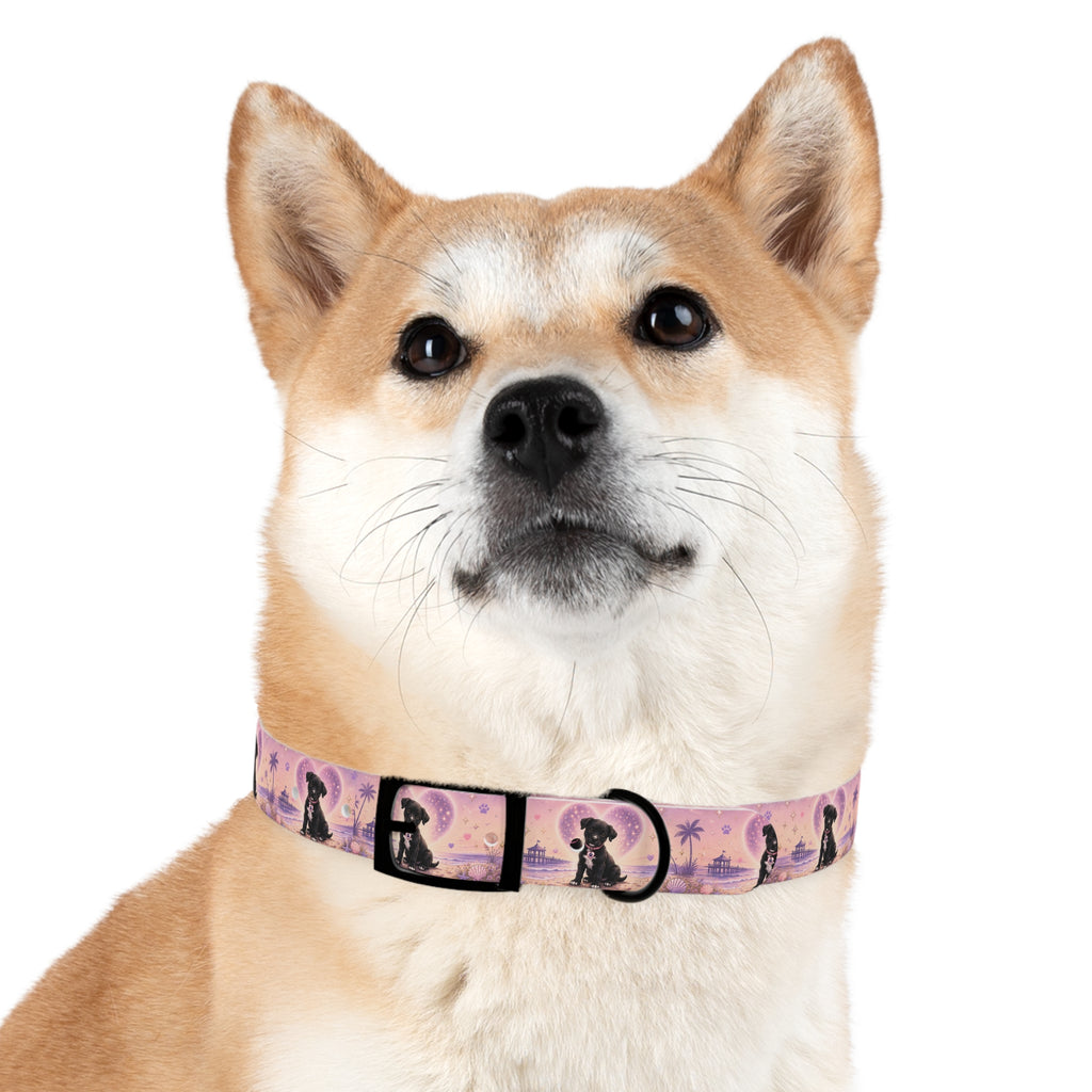 Dog Collar Amore the Magical Mix Signature