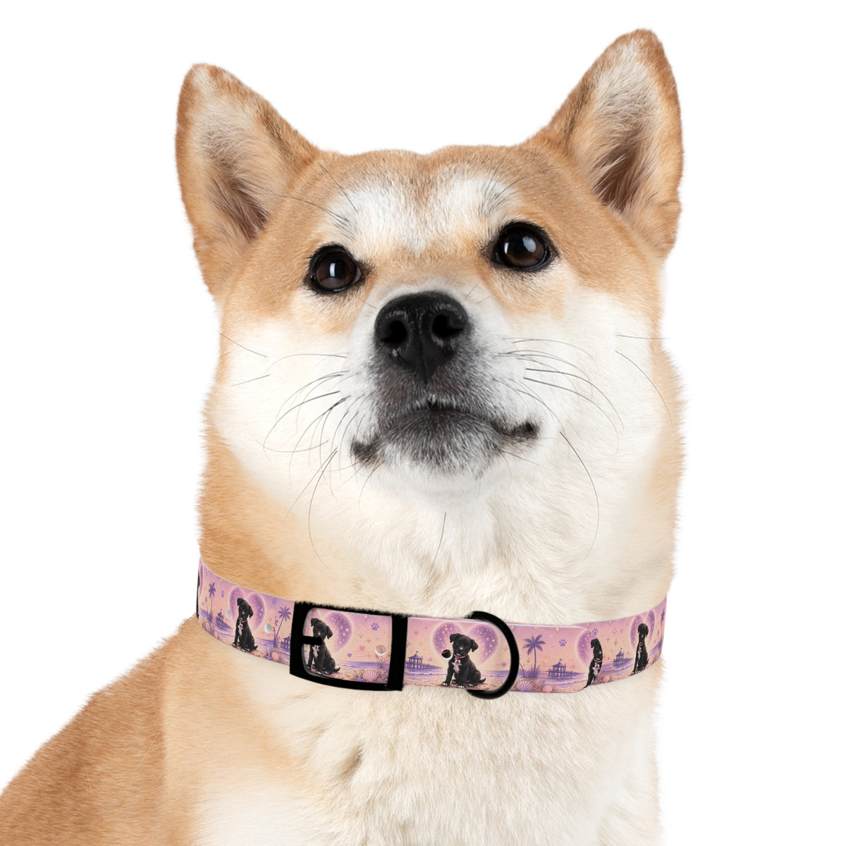 Dog Collar Amore the Magical Mix Signature