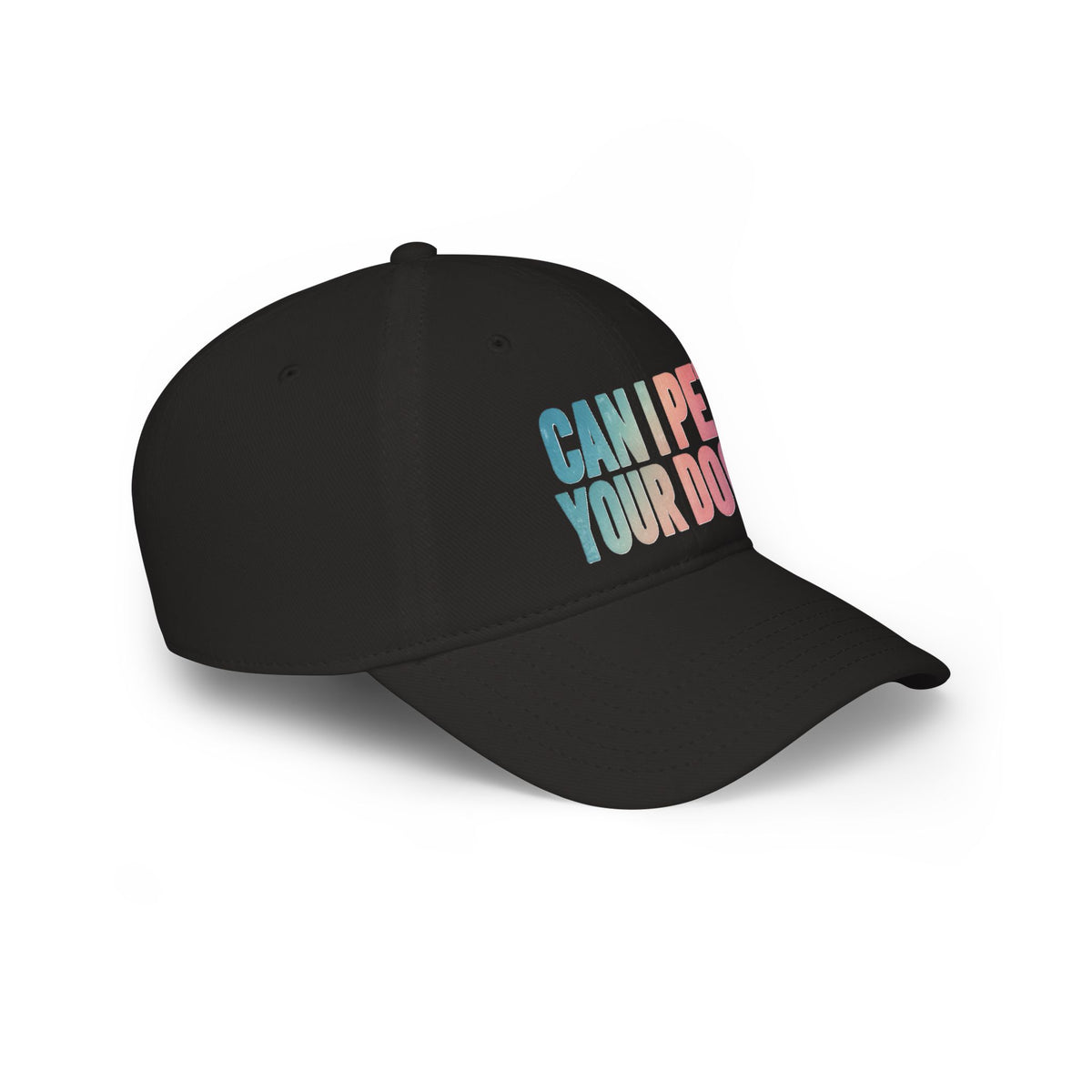 "Can I Pet Your Dog?" Low Profile Baseball Cap – Cute Pet Lover Hat