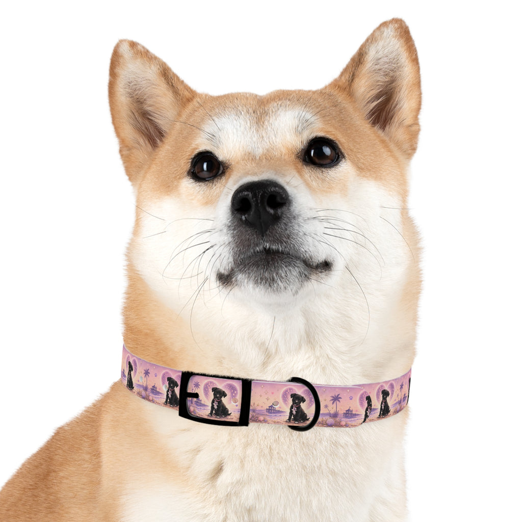 Dog Collar Amore the Magical Mix Signature