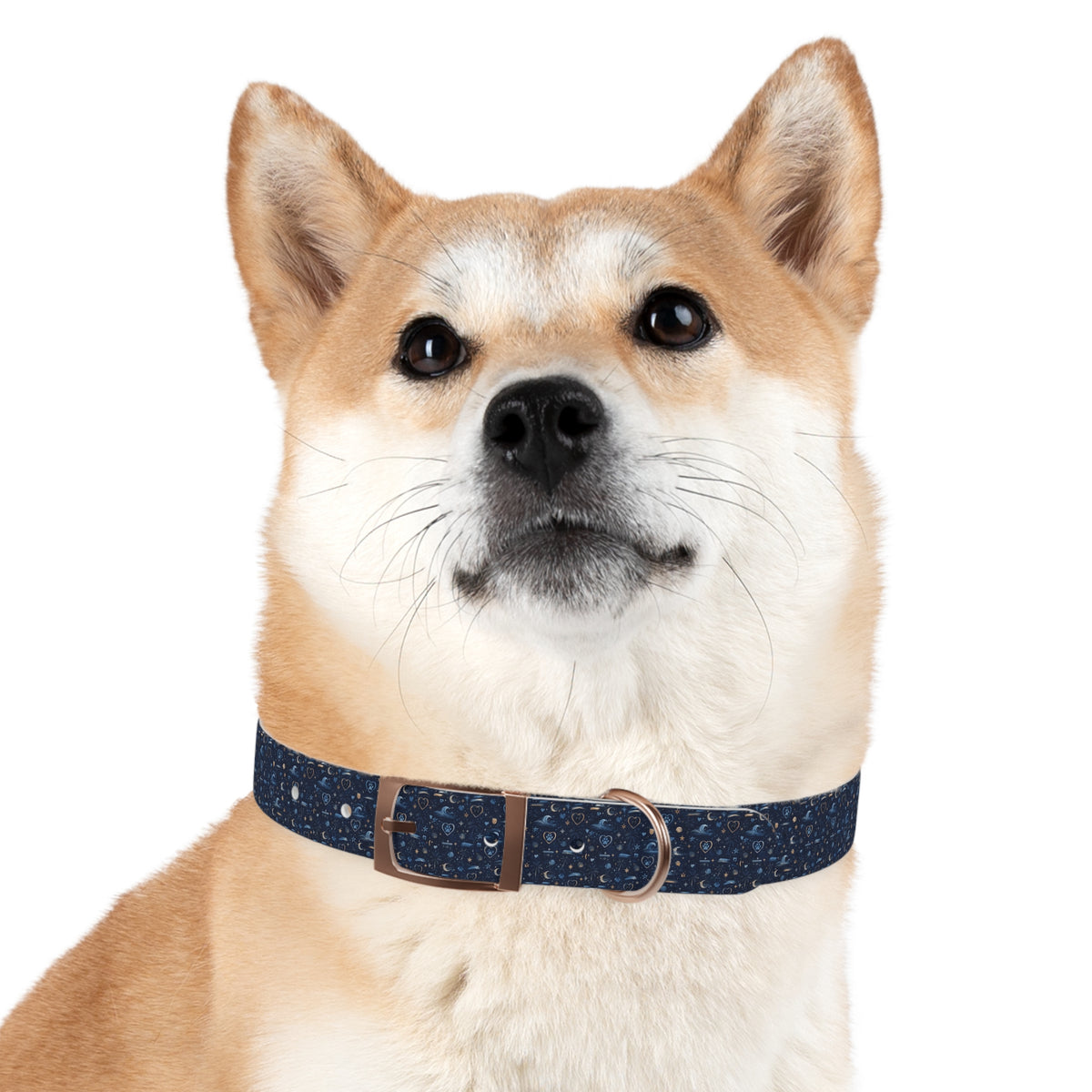 Dog Collar Amore the Magical Mix Ocean Beach inspired