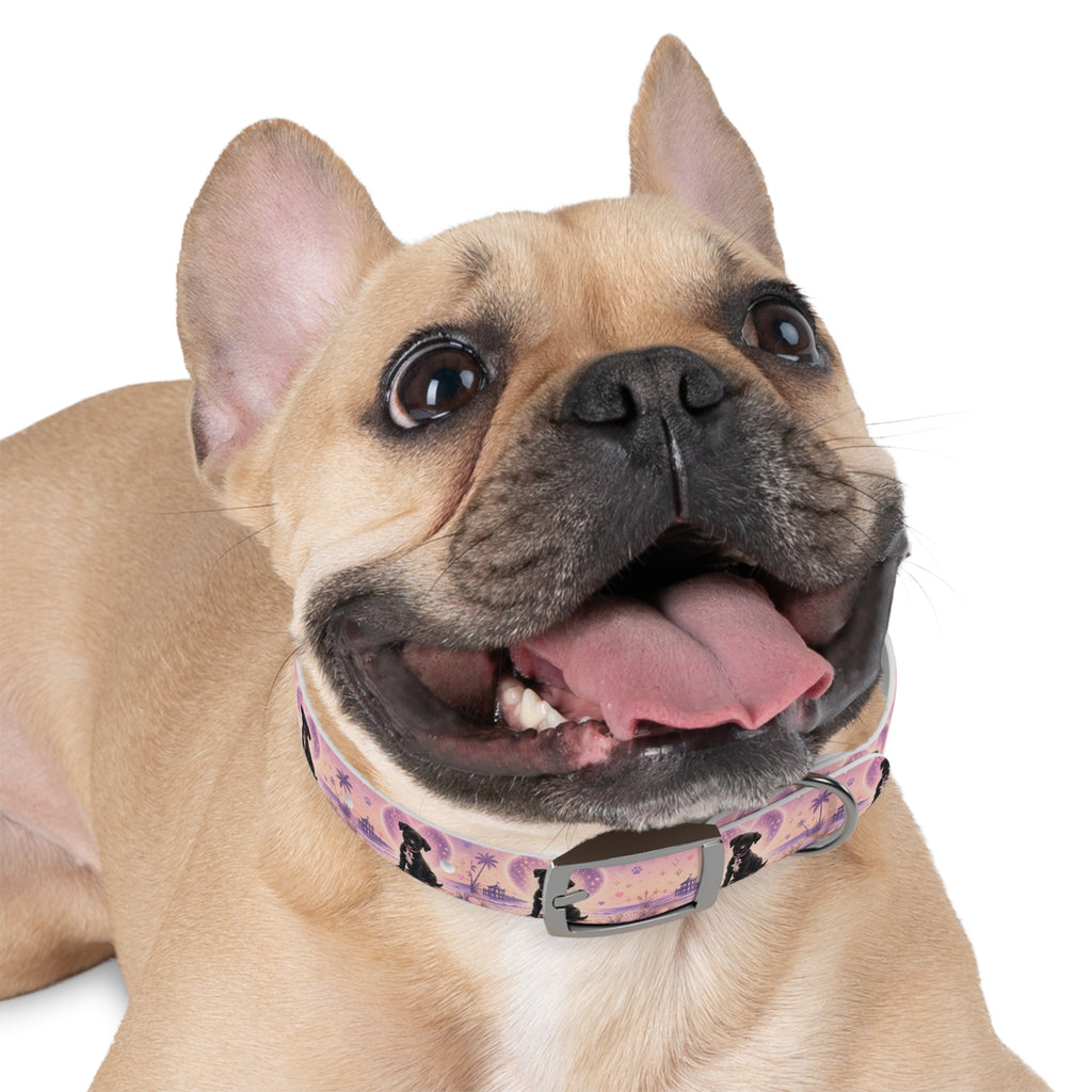 Dog Collar Amore the Magical Mix Signature