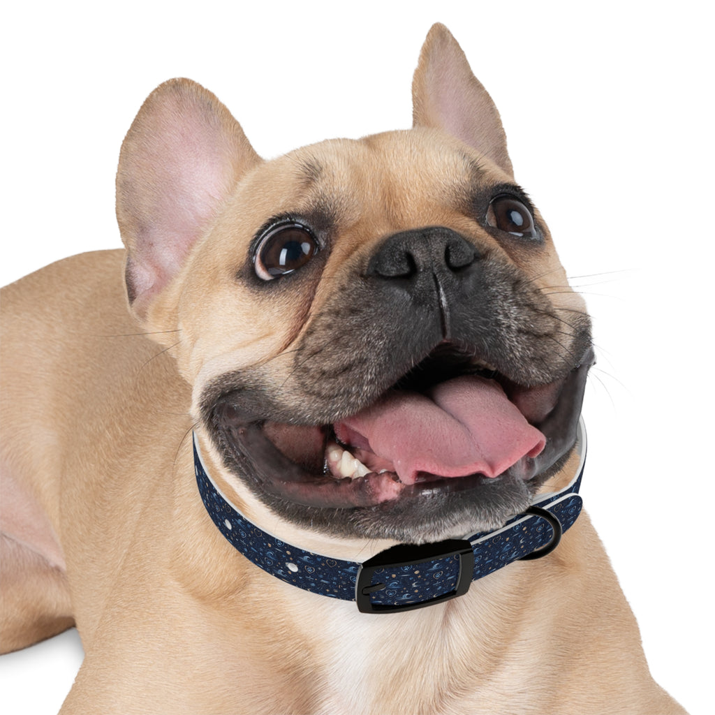 Dog Collar Amore the Magical Mix Ocean Beach inspired