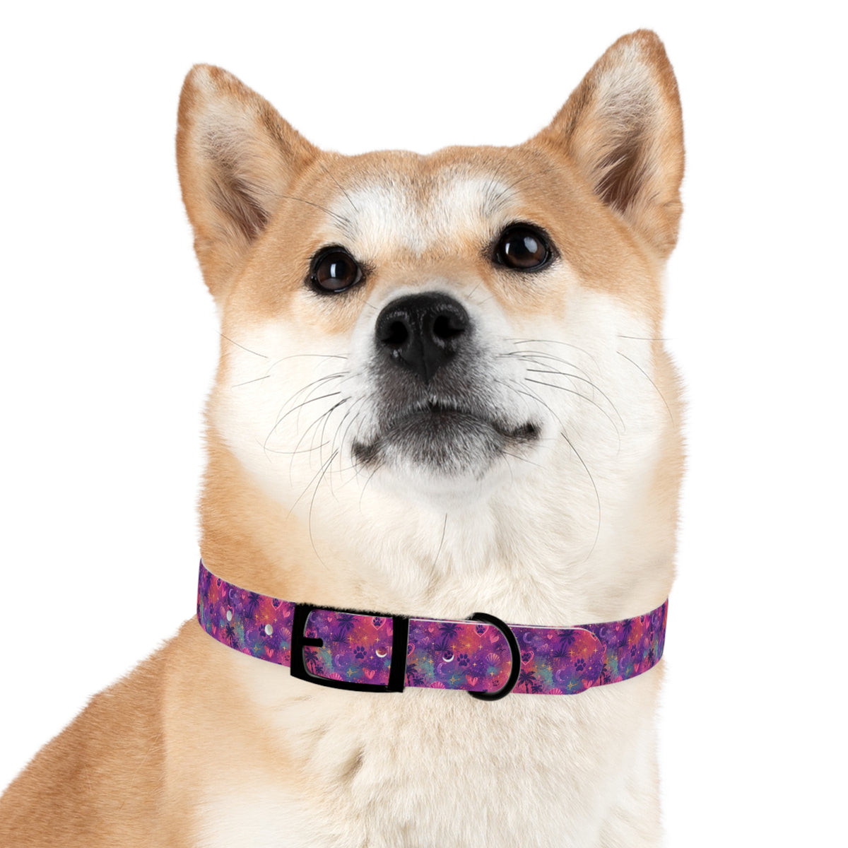 Dog Collar Amore Magical Mix | Coastal Sunset