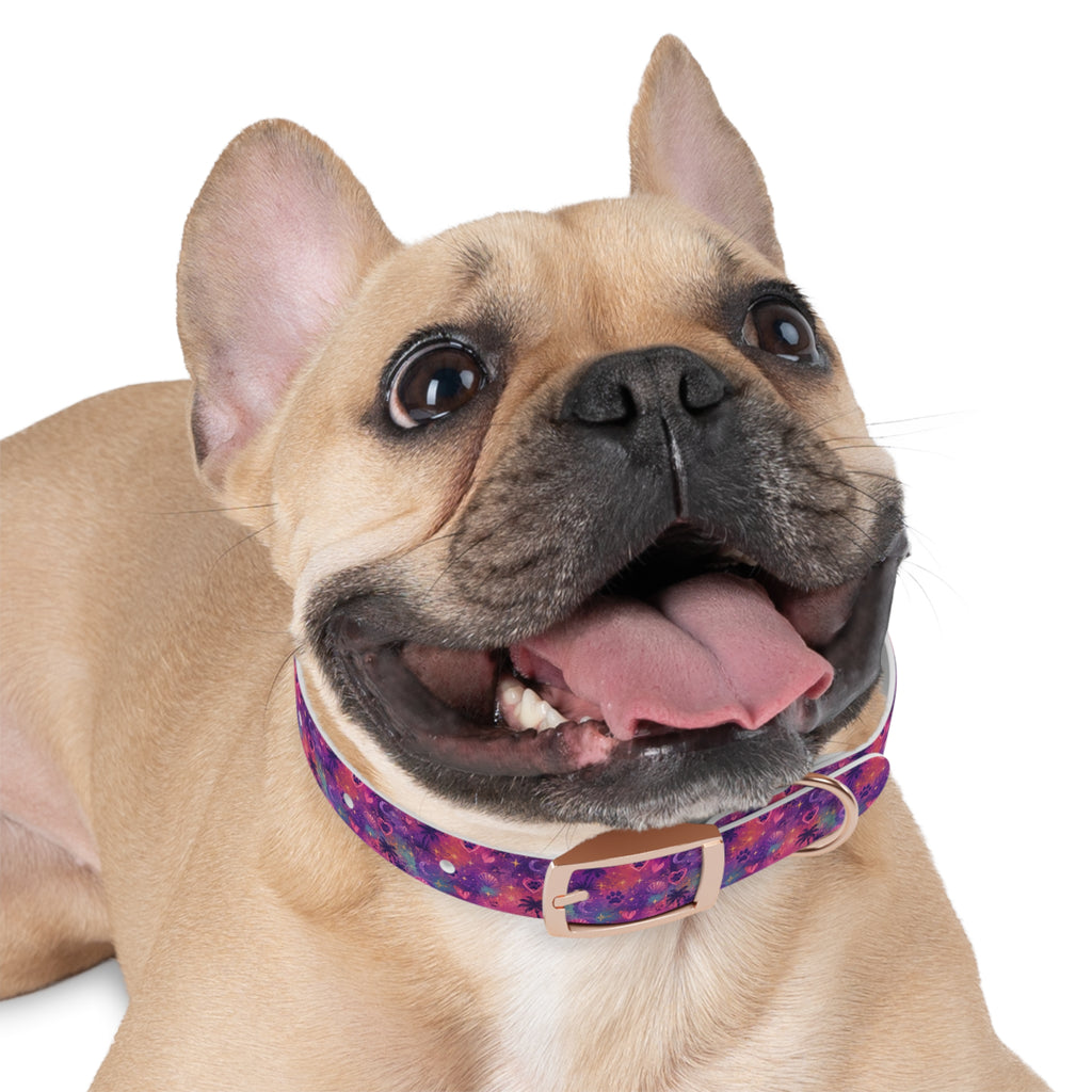 Dog Collar Amore Magical Mix | Coastal Sunset