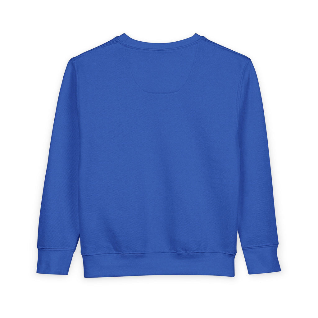 Toddler Sweatshirt - 'On the Nice(ish) List' Funny Christmas Kids Pullover