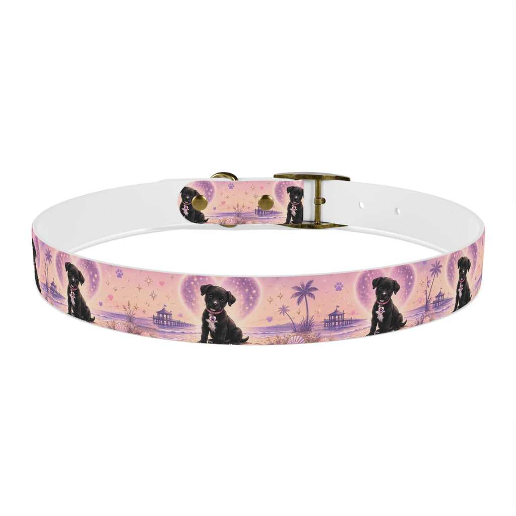 Dog Collar Amore the Magical Mix Signature