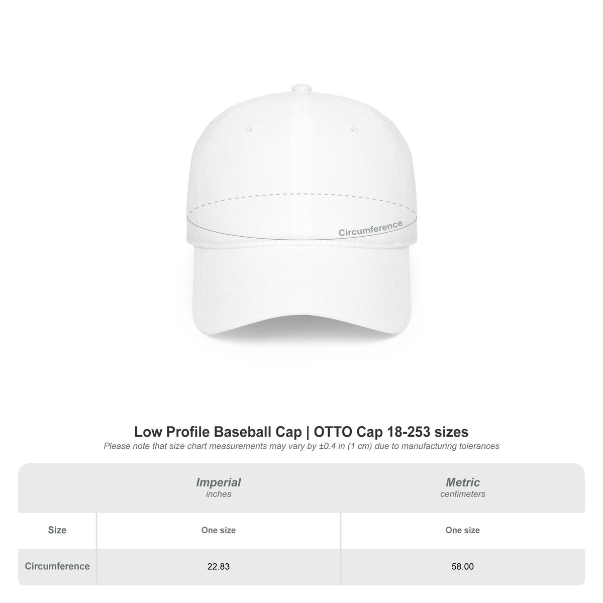 "Can I Pet Your Dog?" Low Profile Baseball Cap – Cute Pet Lover Hat