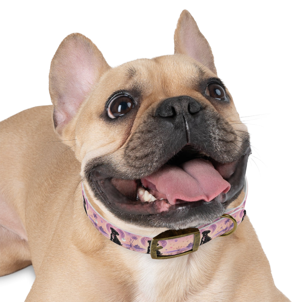 Dog Collar Amore the Magical Mix Signature