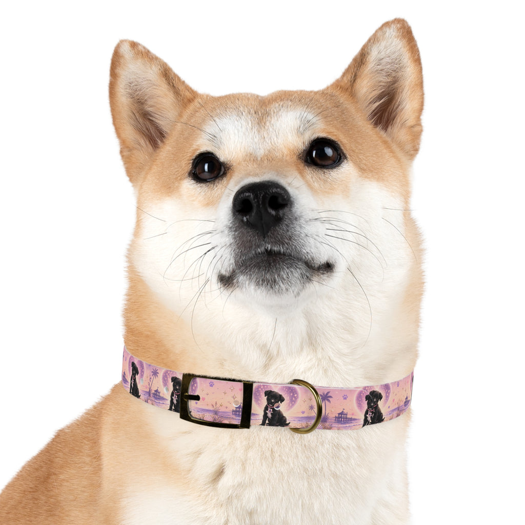 Dog Collar Amore the Magical Mix Signature