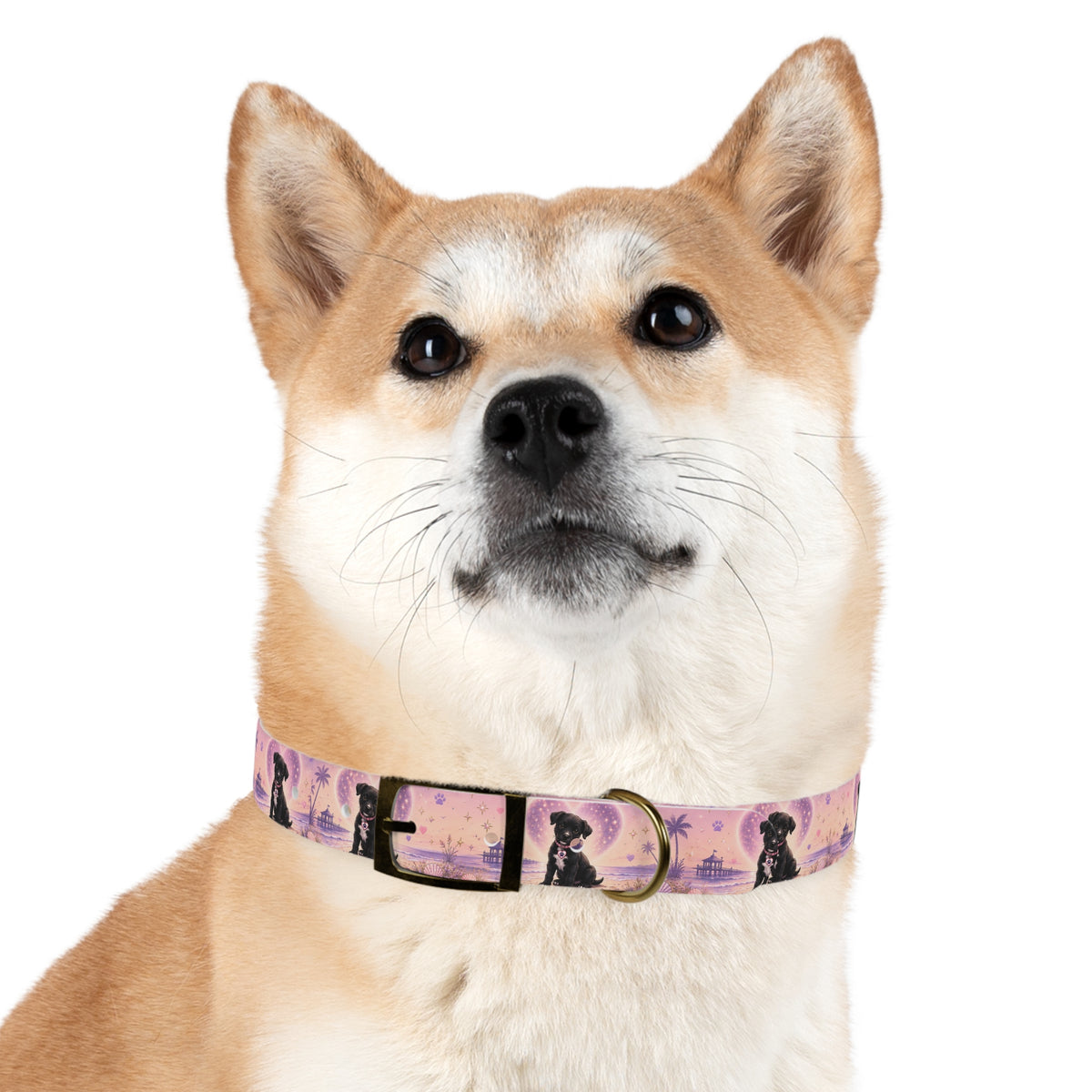 Dog Collar Amore the Magical Mix Signature