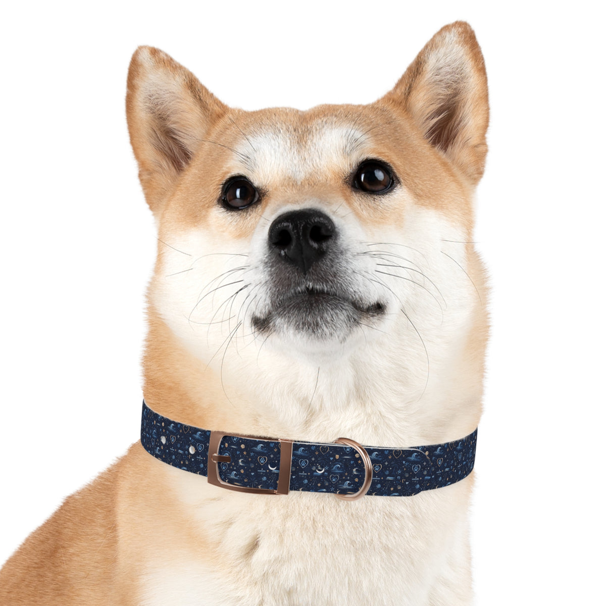 Dog Collar Amore the Magical Mix Ocean Beach inspired