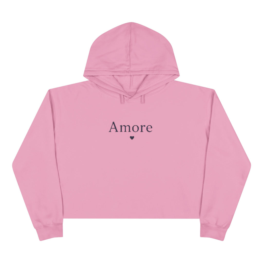 Amore Adult Cropped Hoodie - Pastel “DREAM. BELIEVE. LOVE.” Back