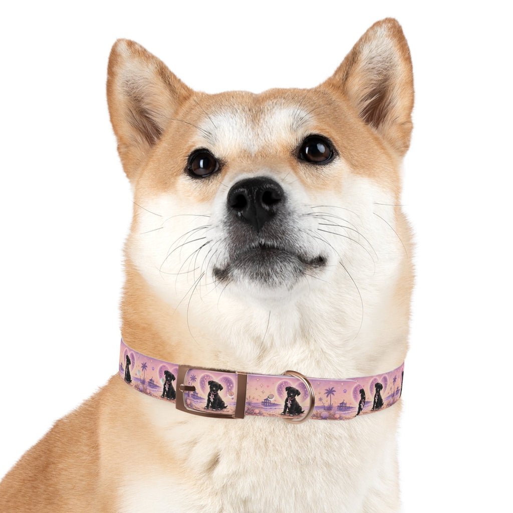 Dog Collar Amore the Magical Mix Signature