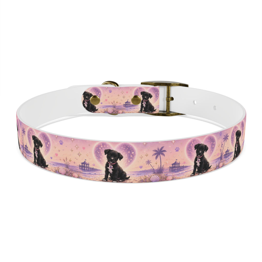 Dog Collar Amore the Magical Mix Signature