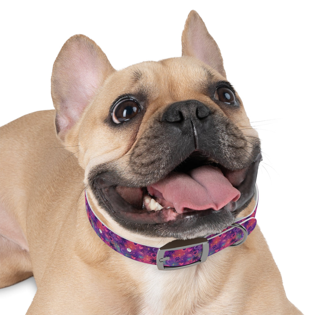 Dog Collar Amore Magical Mix | Coastal Sunset