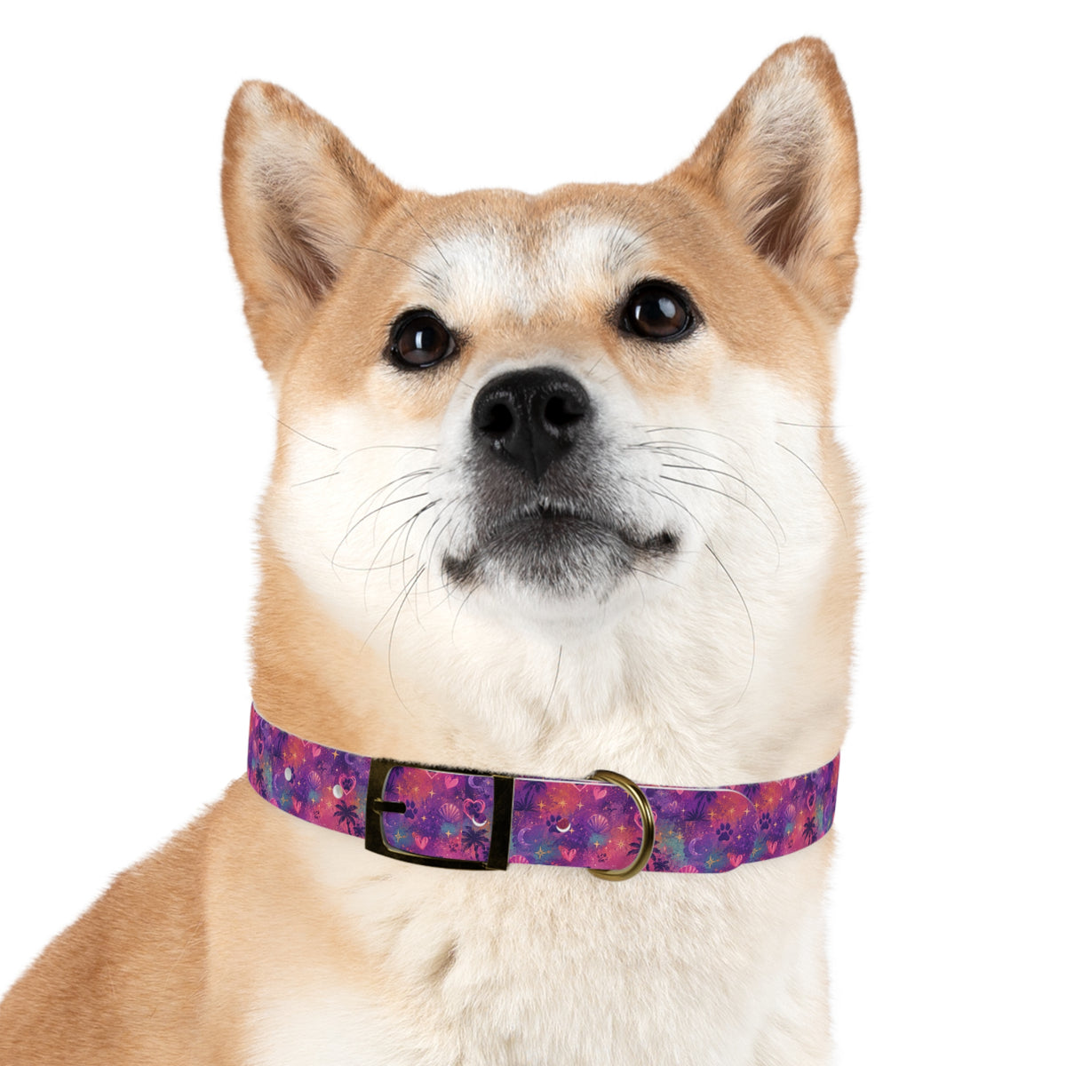 Dog Collar Amore Magical Mix | Coastal Sunset