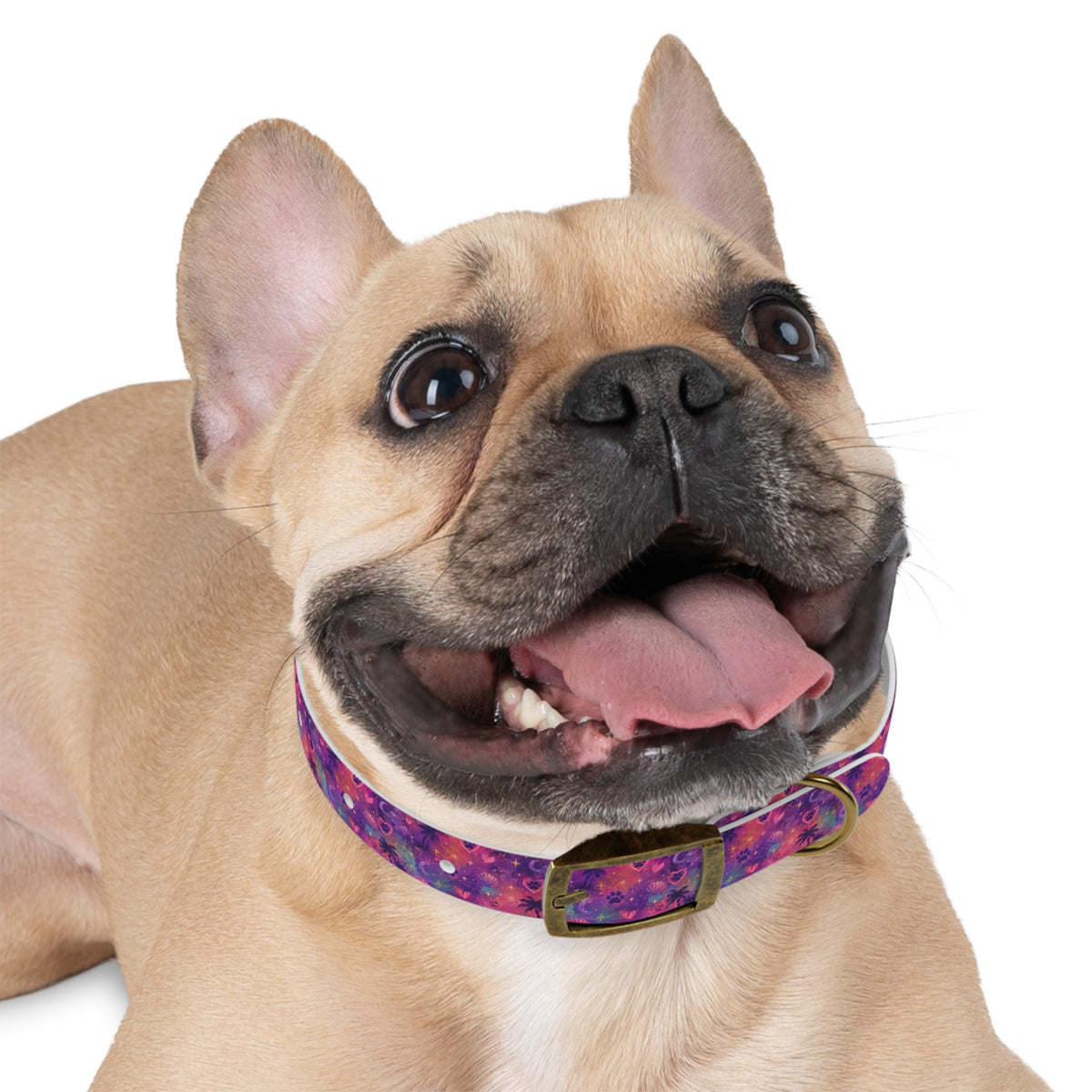Dog Collar Amore Magical Mix | Coastal Sunset