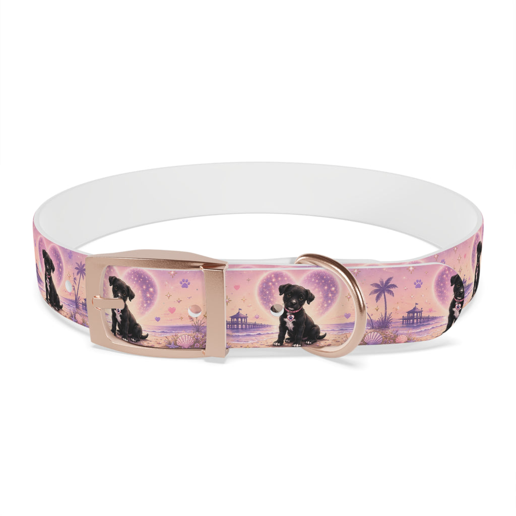 Dog Collar Amore the Magical Mix Signature
