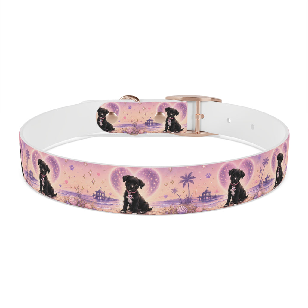 Dog Collar Amore the Magical Mix Signature