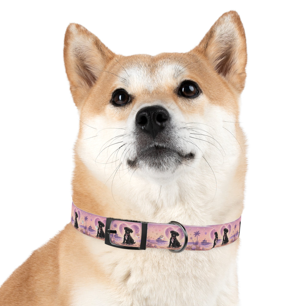 Dog Collar Amore the Magical Mix Signature
