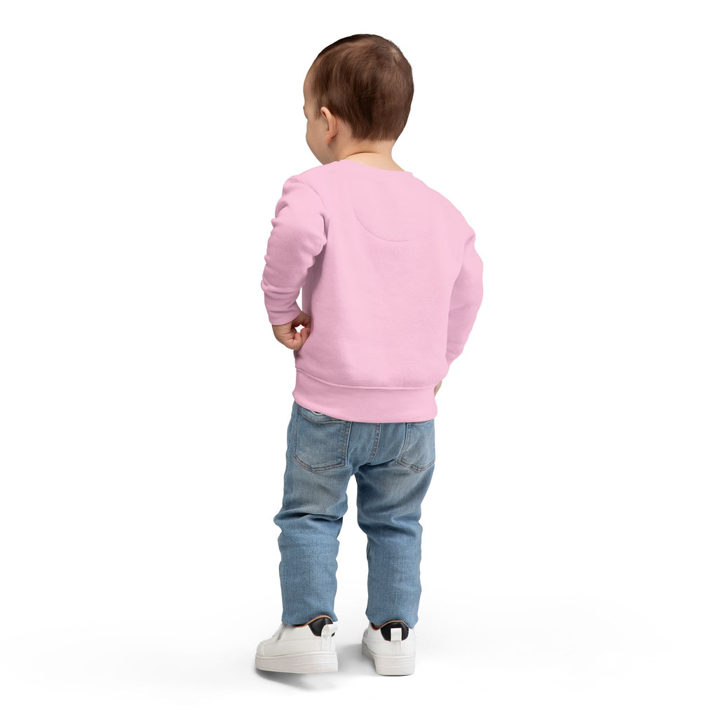 Toddler Sweatshirt - 'On the Nice(ish) List' Funny Christmas Kids Pullover